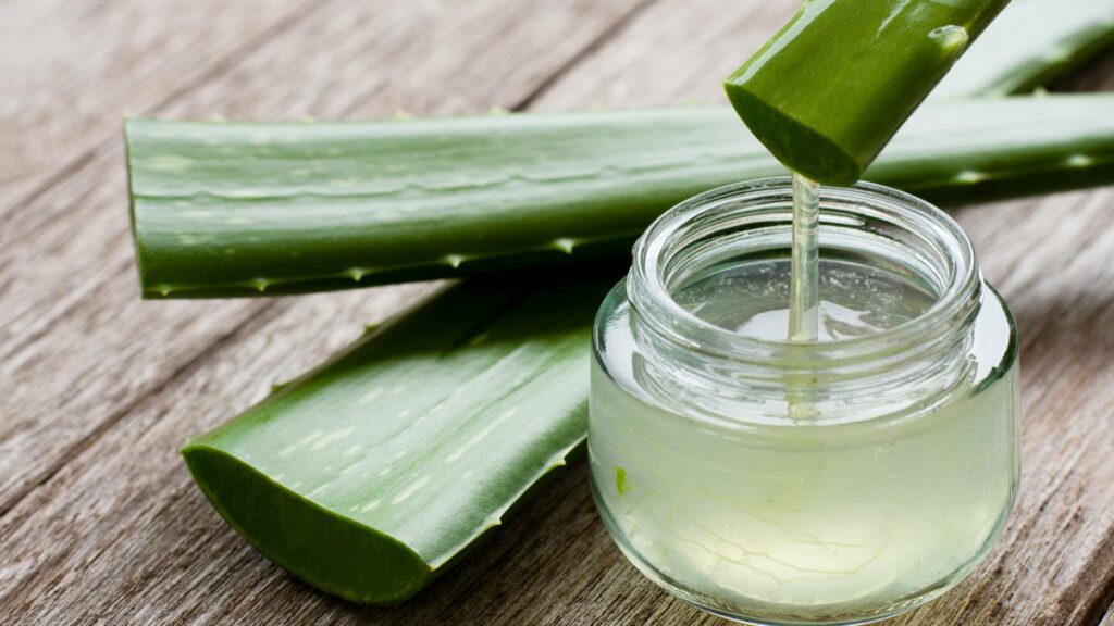 De l'aloe vera